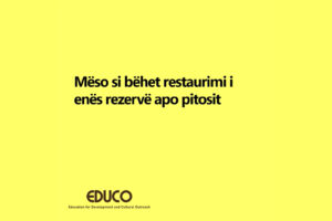 Read more about the article Mëso si bëhet restaurimi i enës rezervë apo pitosit